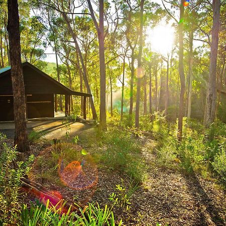 Kianinny Bush Cottages Tathra Buitenkant foto