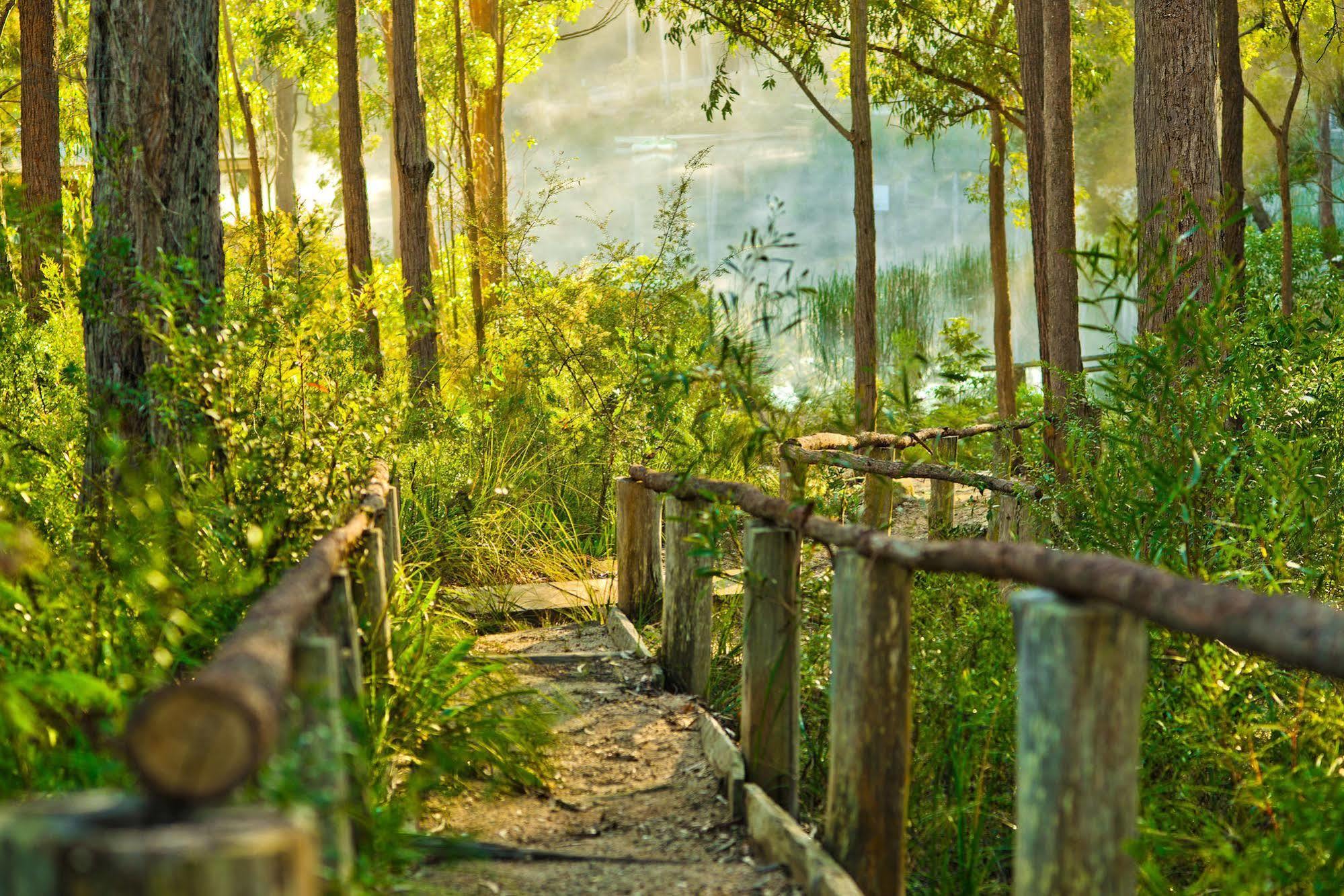 Kianinny Bush Cottages Tathra Buitenkant foto